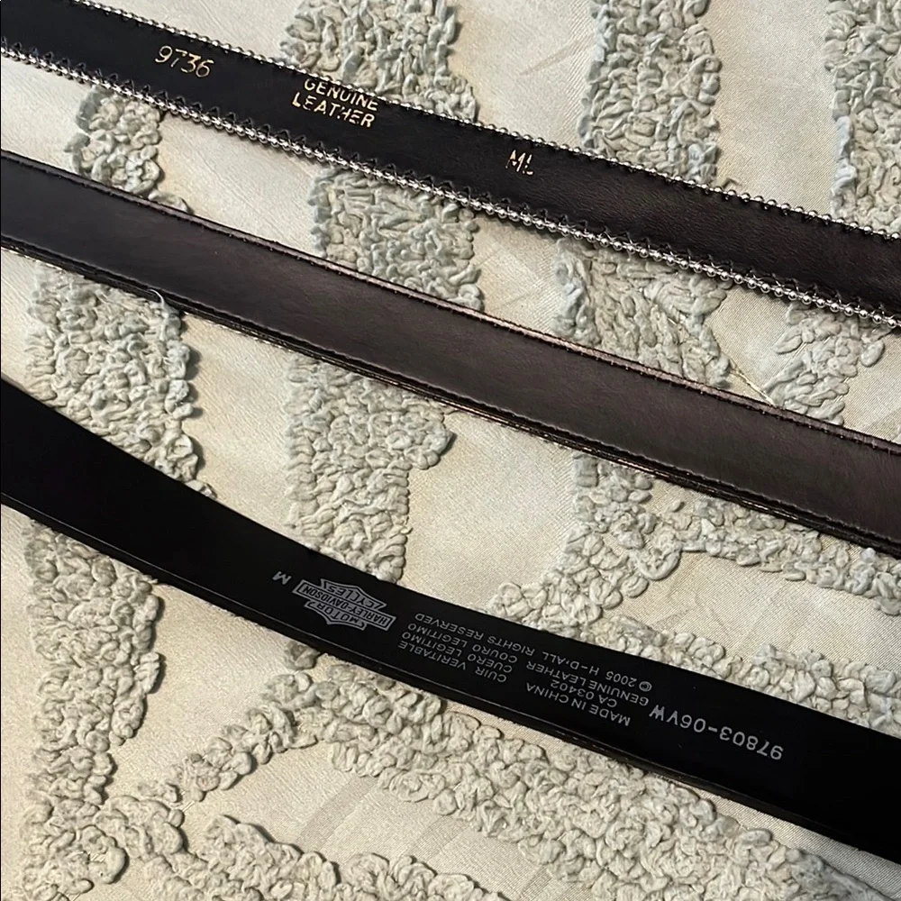 Harley-Davidson Zebra and Silver Belt - Picture 4 of 4